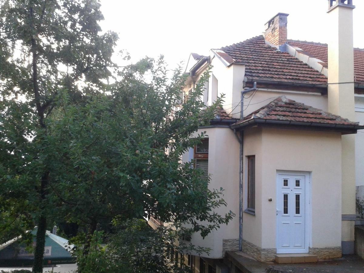 Apartment Domino Belogradçik Dış mekan fotoğraf